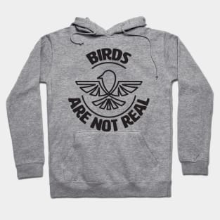 Birds Are Not Real. Conspiracy Theory. Bird Spies. Hoodie